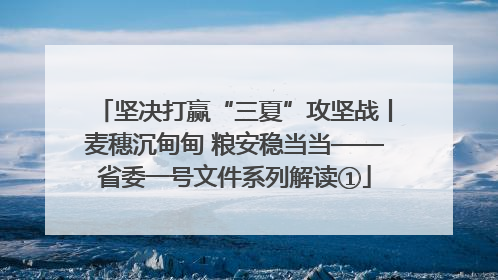 坚决打赢“三夏”攻坚战丨麦穗沉甸甸 粮安稳当当——省委一号文件系列解读①