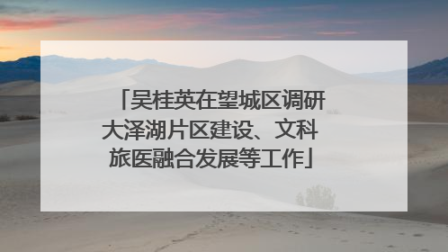 吴桂英在望城区调研大泽湖片区建设、文科旅医融合发展等工作