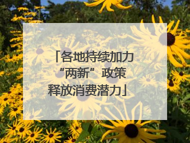 各地持续加力“两新”政策 释放消费潜力