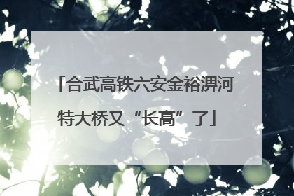 合武高铁六安金裕淠河特大桥又“长高”了