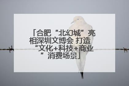 合肥“北幻城”亮相深圳文博会 打造“文化+科技+商业”消费场景