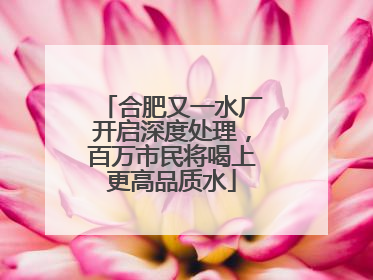 合肥又一水厂开启深度处理，百万市民将喝上更高品质水