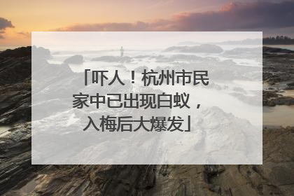 吓人！杭州市民家中已出现白蚁，入梅后大爆发