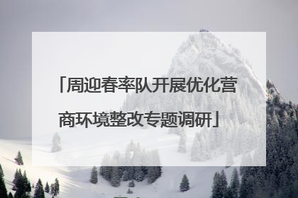 周迎春率队开展优化营商环境整改专题调研
