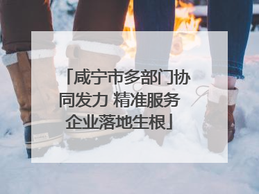 咸宁市多部门协同发力 精准服务企业落地生根