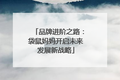 品牌进阶之路：袋鼠妈妈开启未来发展新战略