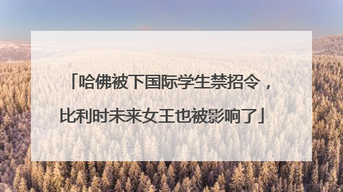 哈佛被下国际学生禁招令，比利时未来女王也被影响了