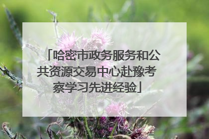 哈密市政务服务和公共资源交易中心赴豫考察学习先进经验