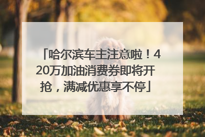 哈尔滨车主注意啦！420万加油消费券即将开抢，满减优惠享不停
