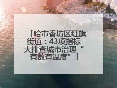 哈市香坊区红旗街道：43项指标大排查城市治理“有数有温度”