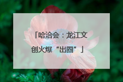 哈洽会：龙江文创火爆“出圈”