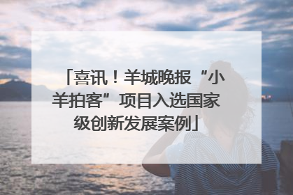 喜讯！羊城晚报“小羊拍客”项目入选国家级创新发展案例