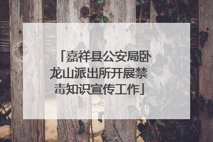 嘉祥县公安局卧龙山派出所开展禁毒知识宣传工作