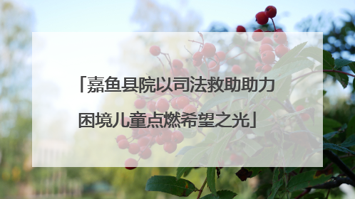 嘉鱼县院以司法救助助力困境儿童点燃希望之光