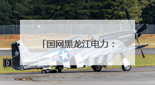 国网黑龙江电力：织密端午保电网 护航绿色出行路