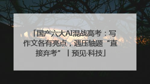 国产六大AI混战高考：写作文各有亮点，遇压轴题“直接弃考”丨预见·科技
