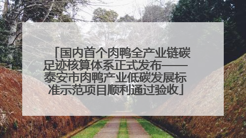 国内首个肉鸭全产业链碳足迹核算体系正式发布——泰安市肉鸭产业低碳发展标准示范项目顺利通过验收