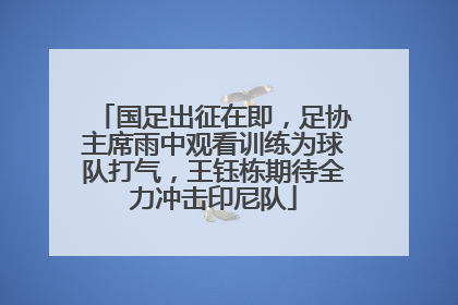 国足出征在即，足协主席雨中观看训练为球队打气，王钰栋期待全力冲击印尼队