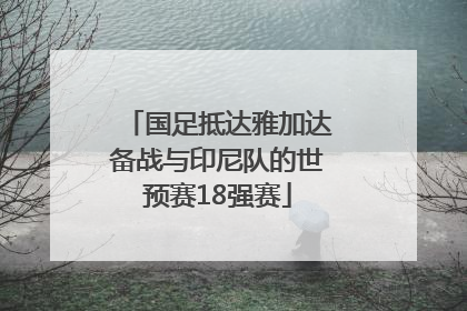 国足抵达雅加达备战与印尼队的世预赛18强赛