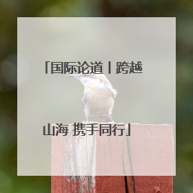 国际论道丨跨越山海 携手同行