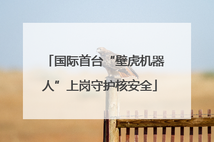 国际首台“壁虎机器人”上岗守护核安全