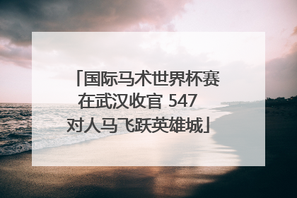 国际马术世界杯赛在武汉收官 547对人马飞跃英雄城