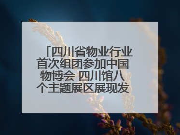 四川省物业行业首次组团参加中国物博会 四川馆八个主题展区展现发展成果