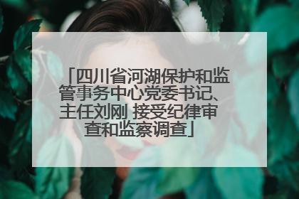 四川省河湖保护和监管事务中心党委书记、主任刘刚 接受纪律审查和监察调查