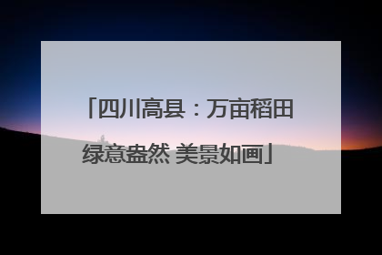四川高县：万亩稻田绿意盎然 美景如画