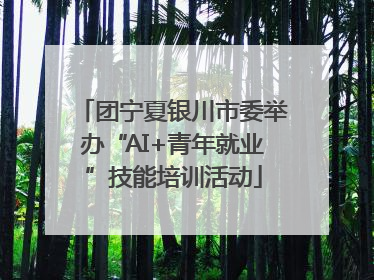 团宁夏银川市委举办“AI+青年就业”技能培训活动