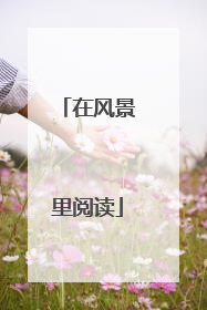 在风景里阅读