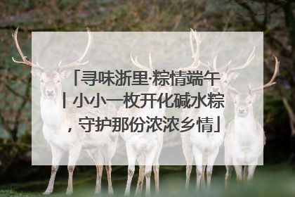 寻味浙里·粽情端午丨小小一枚开化碱水粽，守护那份浓浓乡情