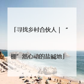 寻找乡村合伙人｜“棚”然心动的盐碱地