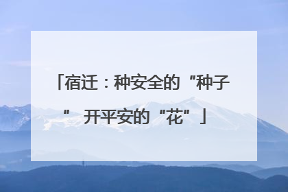 宿迁：种安全的“种子” 开平安的“花”