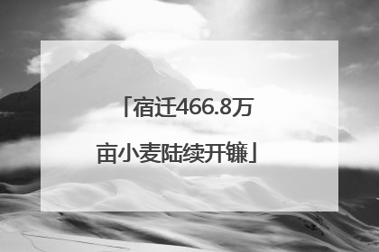 宿迁466.8万亩小麦陆续开镰