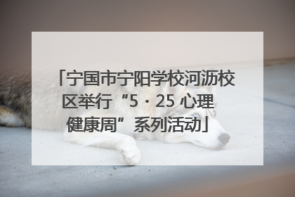 宁国市宁阳学校河沥校区举行“5・25 心理健康周”系列活动