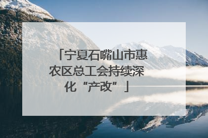 宁夏石嘴山市惠农区总工会持续深化“产改”