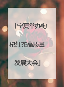 宁夏举办枸杞红茶高质量发展大会