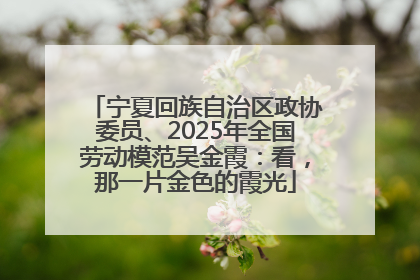宁夏回族自治区政协委员、2025年全国劳动模范吴金霞：看，那一片金色的霞光