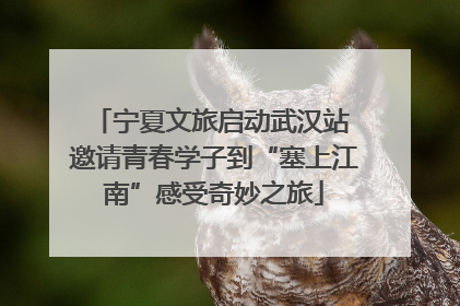 宁夏文旅启动武汉站 邀请青春学子到“塞上江南”感受奇妙之旅