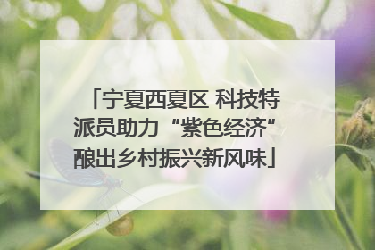 宁夏西夏区 科技特派员助力“紫色经济”酿出乡村振兴新风味