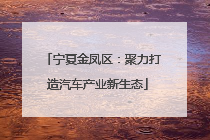 宁夏金凤区：聚力打造汽车产业新生态