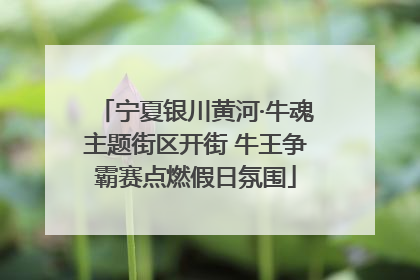宁夏银川黄河·牛魂主题街区开街 牛王争霸赛点燃假日氛围