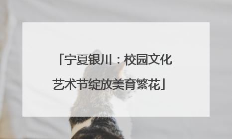 宁夏银川：校园文化艺术节绽放美育繁花