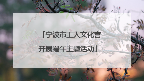 宁波市工人文化宫开展端午主题活动