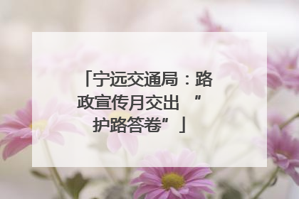 宁远交通局：路政宣传月交出 “护路答卷”