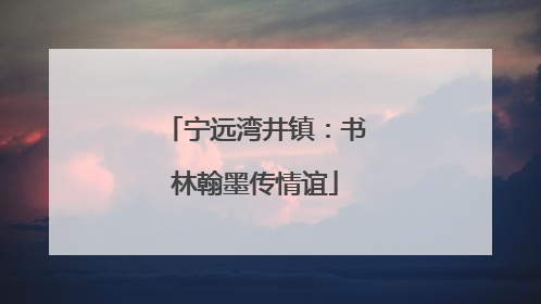 宁远湾井镇：书林翰墨传情谊