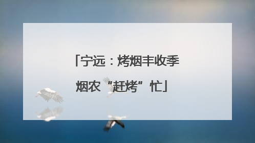 宁远：烤烟丰收季 烟农“赶烤”忙