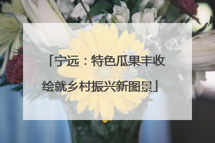 宁远：特色瓜果丰收绘就乡村振兴新图景