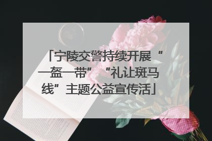 宁陵交警持续开展“一盔一带”“礼让斑马线”主题公益宣传活